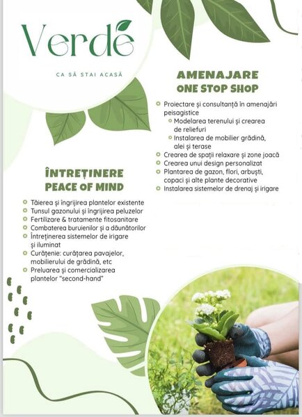 Verde Vertical, amenajari gradini,